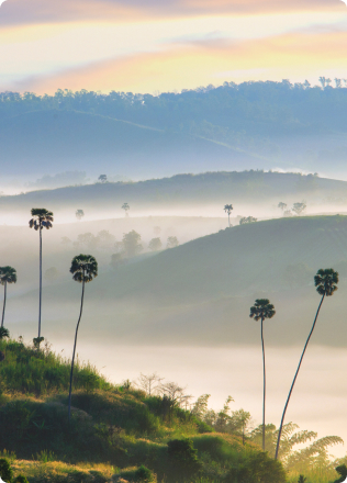 ที่เที่ยว